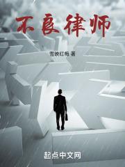 不良律师笔趣阁无弹窗