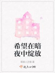 在暗夜中寻找光亮