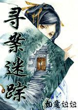 寻案迷踪免费阅读