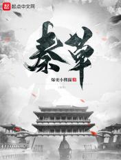 秦朝下一个朝是什么朝