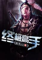 终极高手叶枫TXT