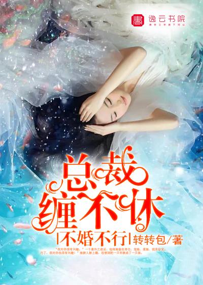 不婚 免费阅读