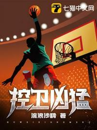 控卫凶猛TXT全本免费阅读