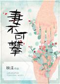 妻不可攀权少宠妻要节制