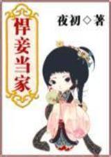 悍妻当家娘子轻打txt