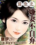 重生之弃妇不寻常