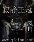 寂静王冠精校版txt
