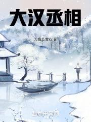 大汉丞相是谁的公众号