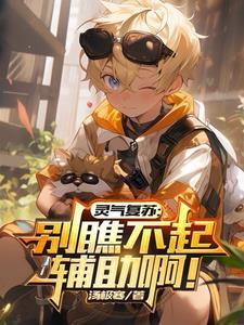 灵气复苏神级天赋领域