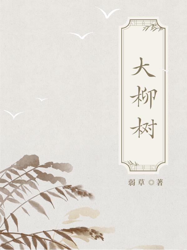 大柳树路属于哪个街道