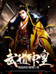 武道神帝全文免费阅读