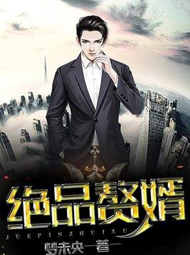 绝品赘婿天下雄兵