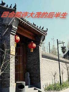 四合院之许大茂的