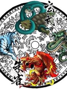 四象 神兽