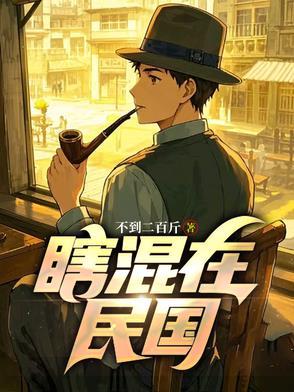 瞎混在民国徐石头