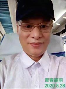 青春靓丽怎么回复
