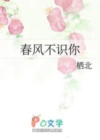 春风不识你gl栖北无防盗