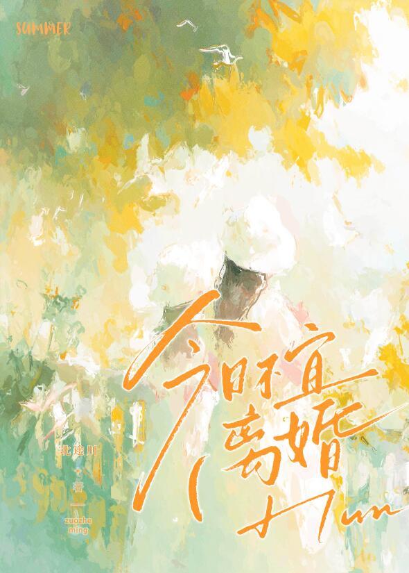 今日不宜离婚短剧免费播放