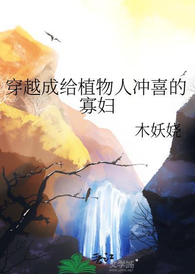 穿成植物人冲喜的寡妇结局