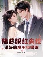 陆总是哪部电视剧里的