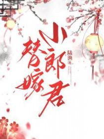 替嫁小郎君陆渔笔趣阁