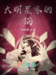 明星家猫的名字