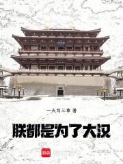 都是为了大汉!原著