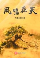 凤鸣在天起点