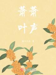 萧萧叶声又为此景加了几笔清冷的清冷是啥意思