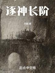 逐神长阶十园