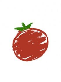 番茄生长观察日志