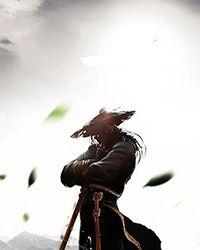 武道世界里的法师